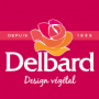 Delbard roses