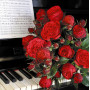 Роза Piano (Пиано)